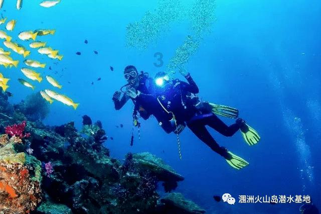 虫虫助手下载
